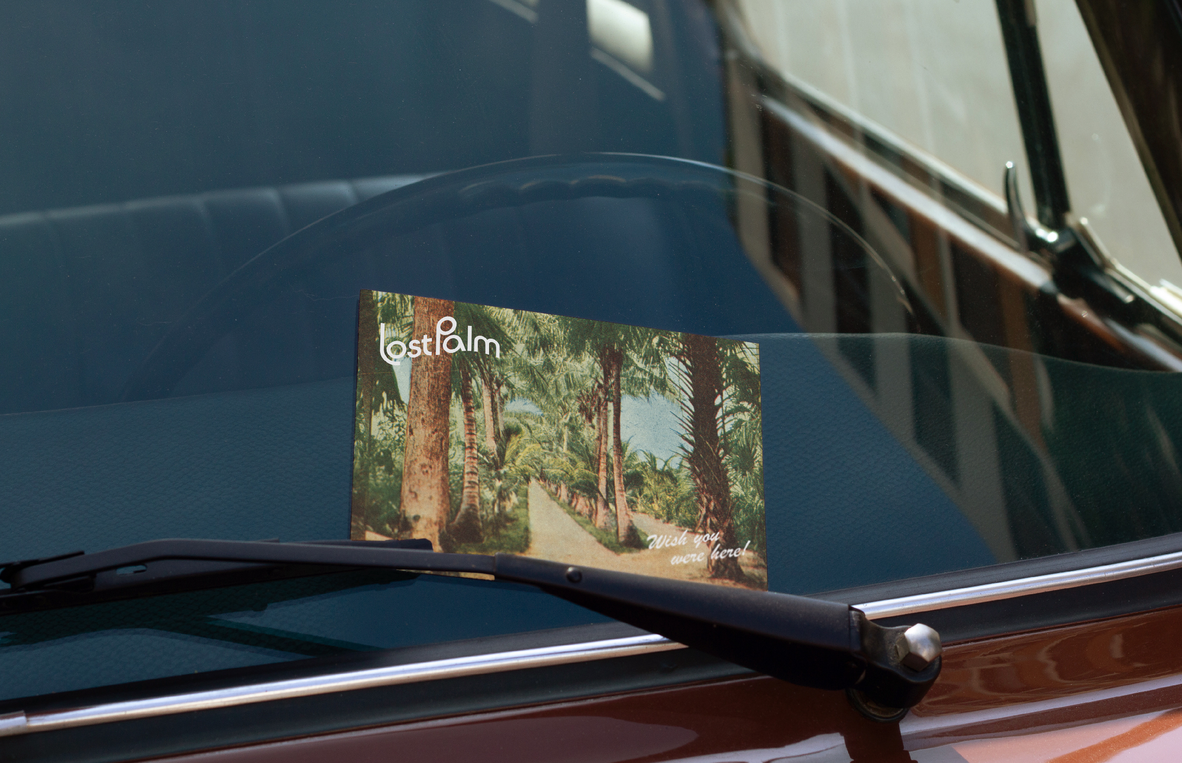 Lost-Palm-Karapin-Brand-Identity-Web-13